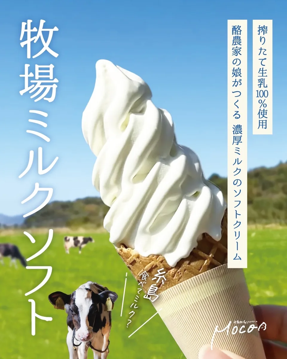 糸島牧場ソフトクリーム MOCO